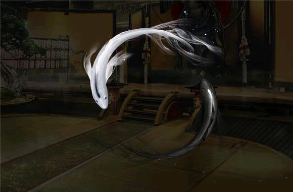 逆战阴阳飞鱼有用吗