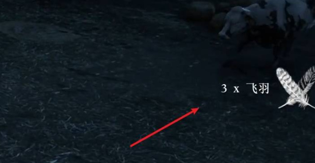 荒野大镖客2(大表哥2)飞羽怎么获得