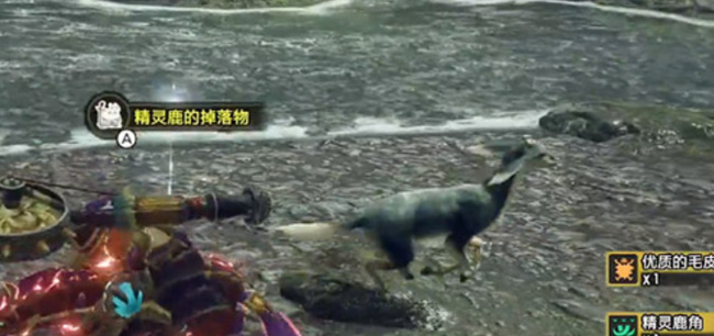 怪猎猎人：崛起优质的毛皮怎么获得 怪物猎人崛起中高品质毛皮获取方法