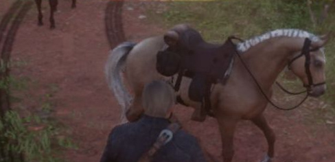 荒野大镖客2(大表哥2)武装号召怎么匹配 荒野大镖客2打造你的武器装备组合