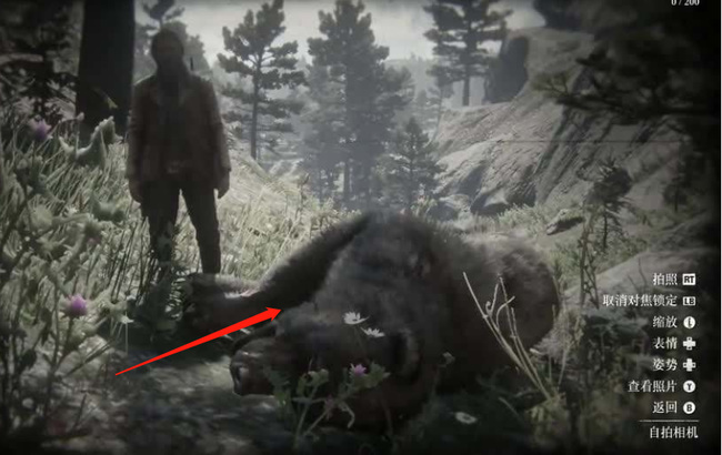 荒野大镖客2(大表哥2)熊皮放在哪