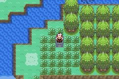 究极绿宝石赫拉克罗斯在哪抓 究极绿宝石如何捕捉赫拉克罗斯