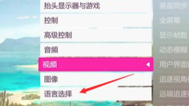 极限竞速:地平线5英文语音怎么设置 极限竞速地平线5语音设置攻略
