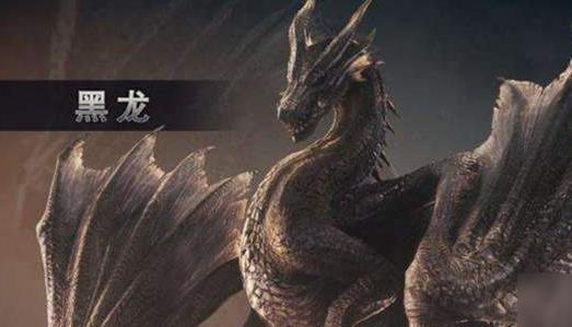 怪物猎人：世界黑龙弱什么属性