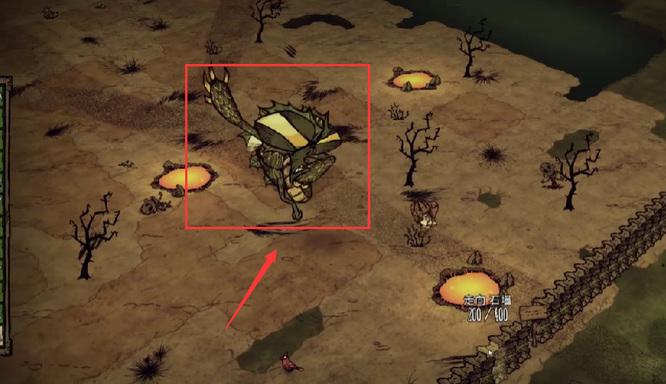 饥荒联机版龙蝇打法是什么 教你如何应对饥荒联机版中的龙蝇游戏攻略