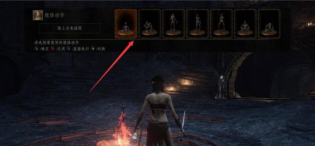 黑暗之魂3动作表情怎么使用