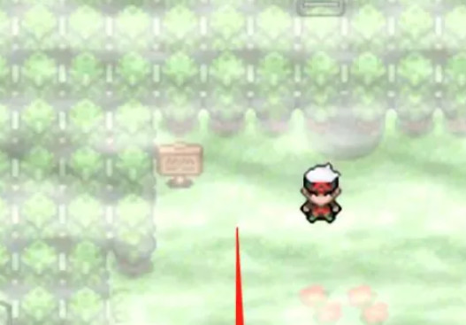 精灵宝可梦：究极绿宝石5.4迷失森林怎么走 究极绿宝石迷失森林路线指南