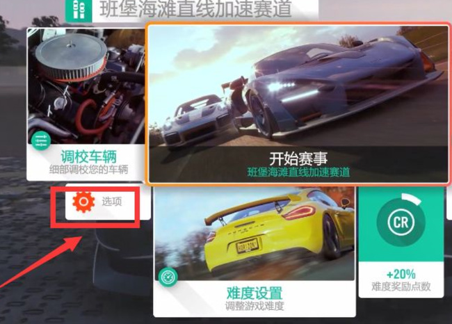 地平线4手柄震动在哪里设置