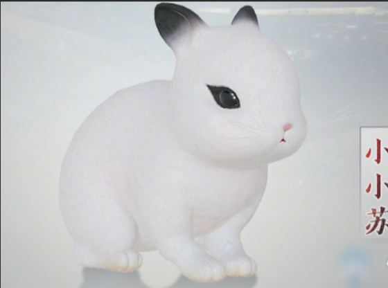 剑三小小苏奇遇怎么做