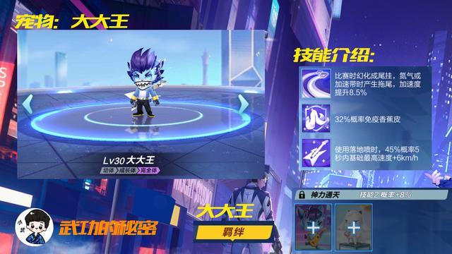 QQ飞车车队宠物哪个好