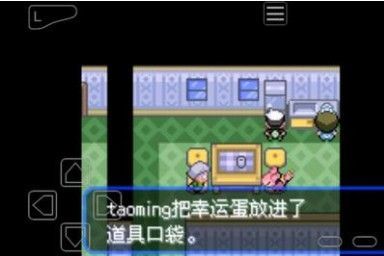 精灵宝可梦：究极绿宝石技能分布位置在哪