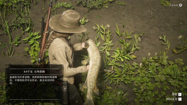 钓鱼的心得 荒野大镖客2中的钓鱼技巧和经验分享