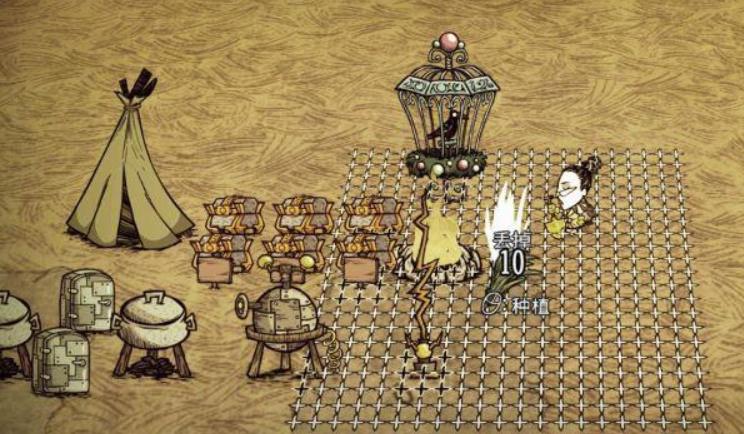 饥荒树枝和草怎么布局