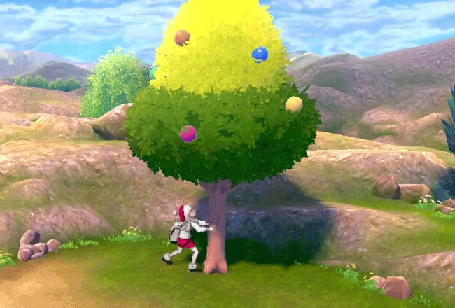 精灵宝可梦：究极绿宝石树果店怎么开