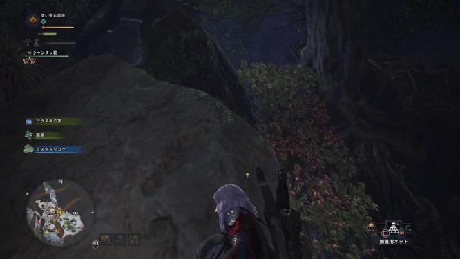 怪物猎人：世界古代树森林哪里设营地 怪物猎人世界树森林营地位置