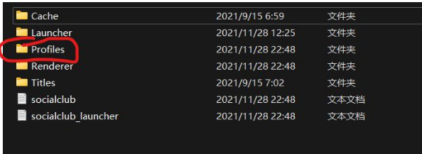大镖客2照片模式pc截图在哪