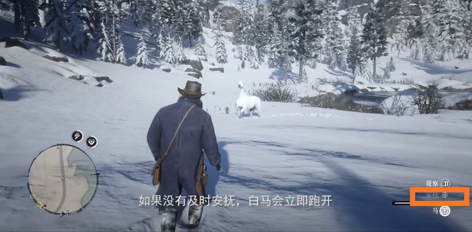 荒野大镖客2(大表哥2)阿拉伯马在地图哪里 荒野大镖客2寻找阿拉伯马的位置
