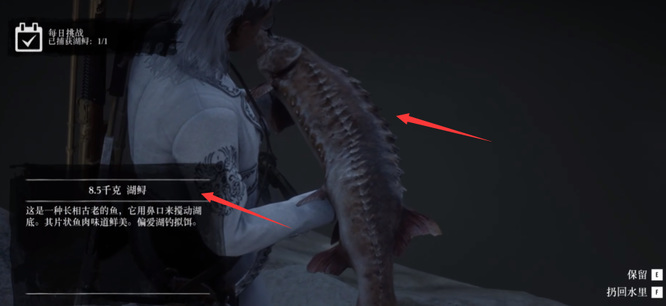 荒野大镖客2(大表哥2)线上湖鲟位置在哪 荒野大镖客2中线上湖鲟出现位置攻略