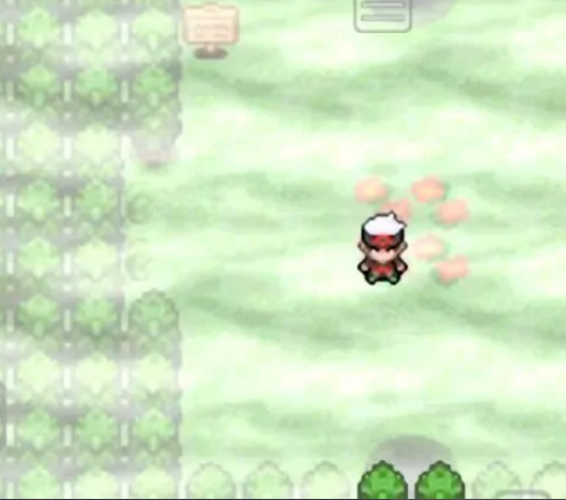 究极绿宝石迷途森林怎么走 精灵宝可梦究极绿宝石迷途森林攻略