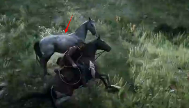 荒野大镖客2(大表哥2)怎么驯马 荒野大镖客2教你如何驯服马匹