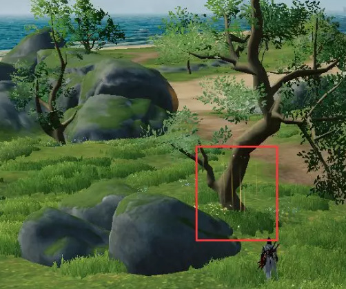 剑网三沅沅奇遇宠物怎么玩 剑网三中沅沅奇遇宠物的玩法