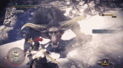 如何击败金狮子都有哪些弱点