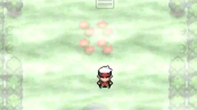 精灵宝可梦：究极绿宝石5.4迷失森林怎么走 究极绿宝石迷失森林路线指南