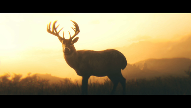 荒野大镖客2(大表哥2)亚瑟不死结局是什么