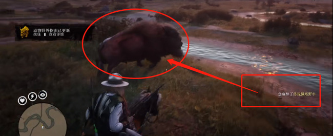 荒野大镖客2(大表哥2)麻醉弹怎么麻醉不了