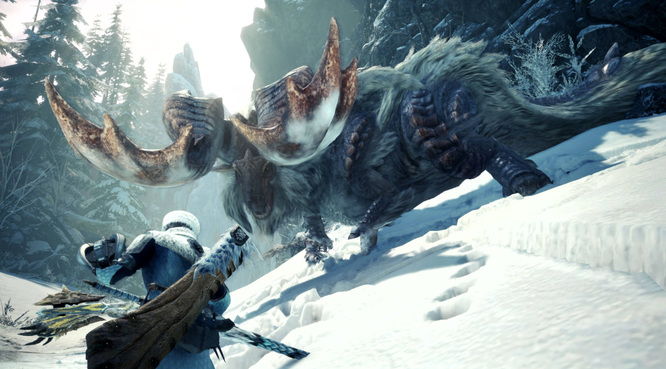 怪物猎人：世界毒妖鸟在哪里