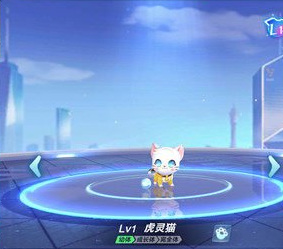 QQ飞车心愿宠物哪个好