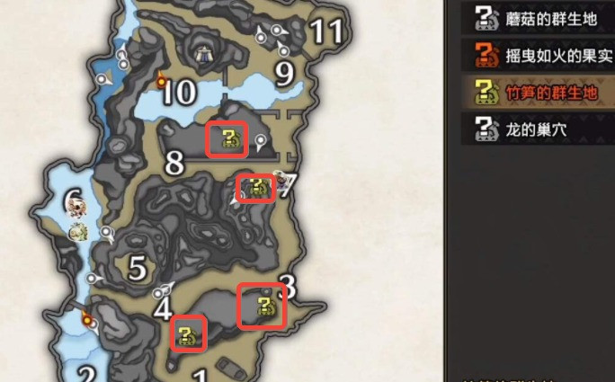 MHR珍品竹笋在哪里