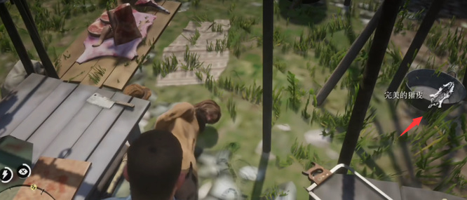 荒野大镖客2(大表哥2)完美的獾皮在哪里打 荒野大镖客2寻找完美的獾皮打猎地点