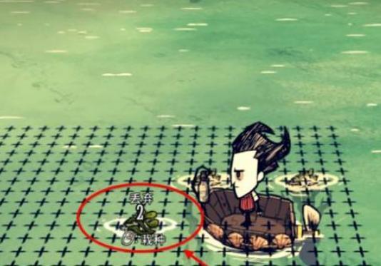 饥荒海带怎么移植 如何在饥荒联机版中移植海带