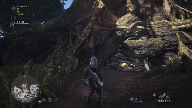 怪物猎人：世界古代树森林哪里设营地 怪物猎人世界树森林营地位置