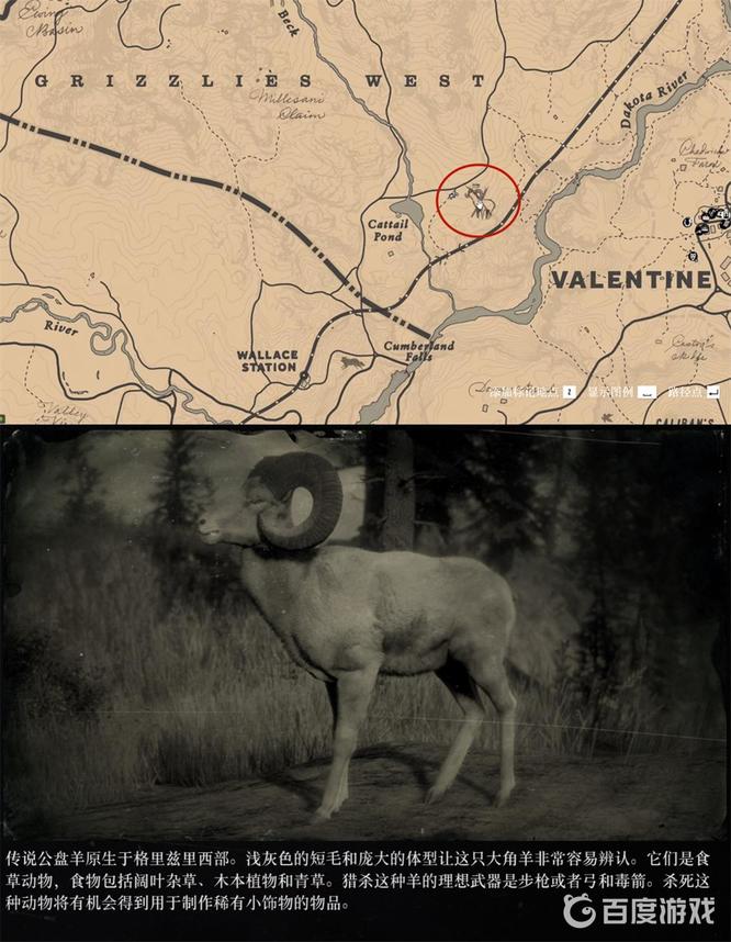 荒野大镖客2(大表哥2)传说动物位置一览表有哪些 荒野大镖客2动物位置一览表