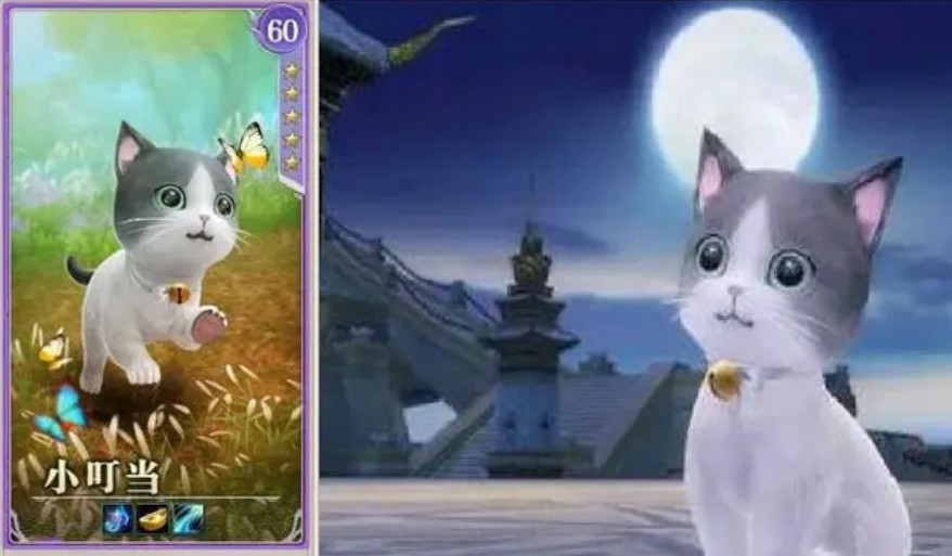 剑三珠子摸什么宠物