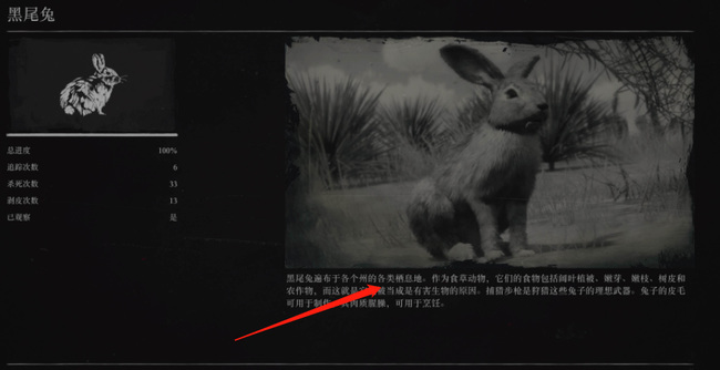 荒野大镖客2(大表哥2)兔子完美皮怎么打