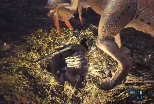 怪物猎人:世界捕获骚鸟任务怎么做 怪物猎人世界中如何捕获骚鸟