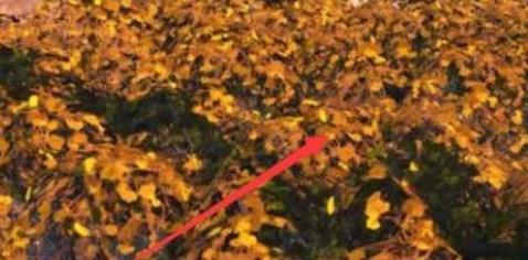 辐射4幸福度莫名下降咋办 辐射4幸福度急速下跌应对之道