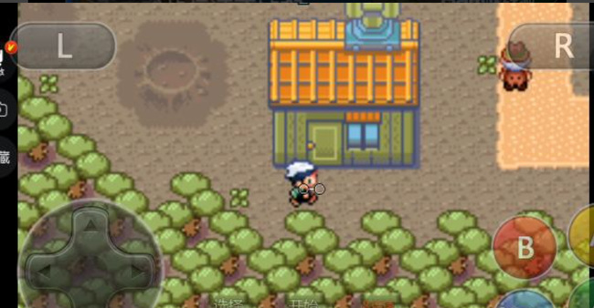 究极绿宝石艾路雷朵mega石在哪 寻找艾路雷朵mega石