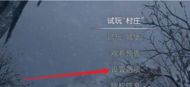 生化危机8无法全屏是什么原因