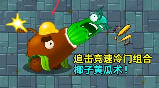 植物大战僵尸儿童高筒帽是谁的