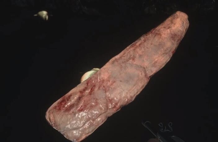 生化危机8鱼肉有什么用