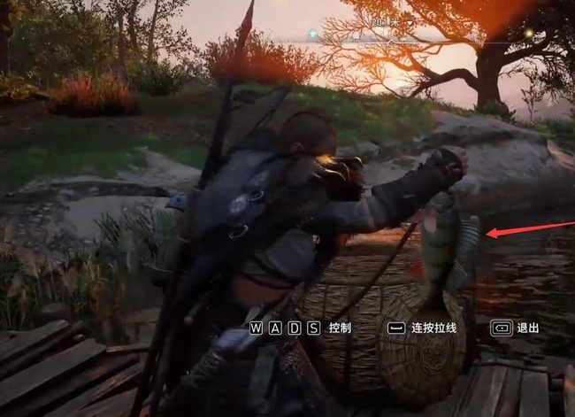 英灵殿棕鲑小型怎么钓 刺客信条英灵殿中棕鲑钓鱼攻略分享