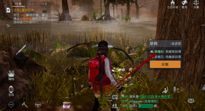 黎明觉醒棉花在哪