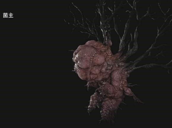 如何获得奖杯寻根溯源以及难点心得 如何获得生化危机8村庄中的奖杯及难点心得