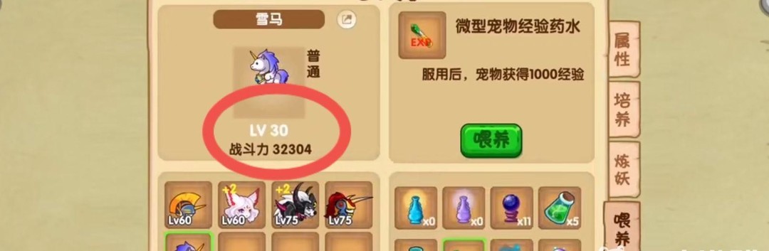 造梦西游OL宠物从三十级升到六十需要多少小药水