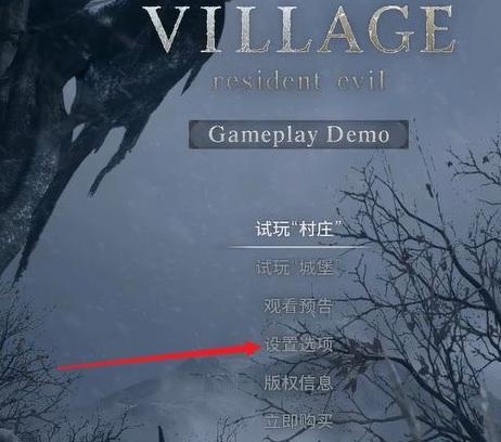 生化危机8画质怎么设置最舒服