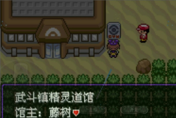 口袋妖怪漆黑的魅影怎么刷闪光精灵